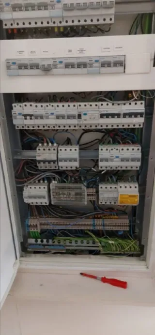 Electricista Profesional Económico