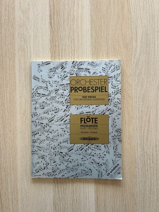 Orchester Probespiel Flöte/Piccolo