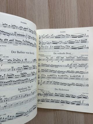 Orchester Probespiel Flöte/Piccolo