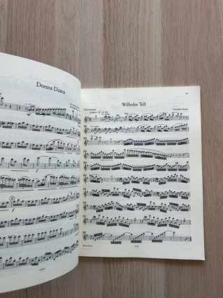 Orchester Probespiel Flöte/Piccolo