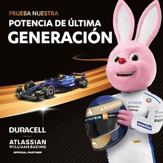 Duracell Plus pilas alcalinas AA (paquete de 18),
