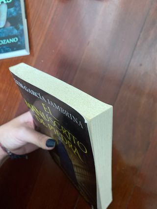 El manuscrito de piedra