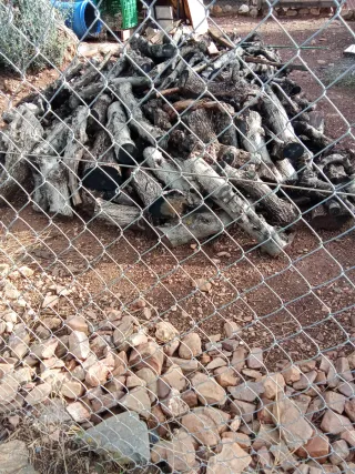 Vendo leña de olivo
