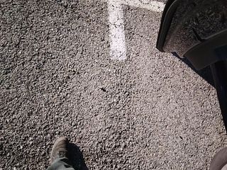 Volkswagen Golf Life 2.0 TDI 85 kW (115 CV)