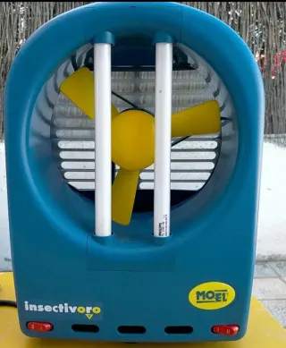 Insectívoro Moel azul