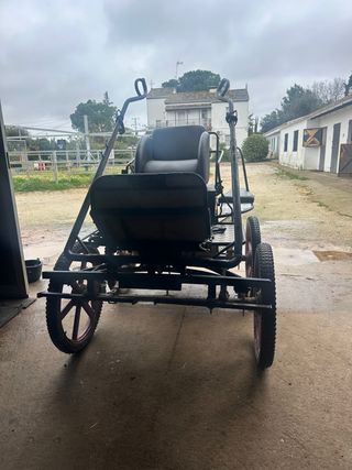 Carro Maraton de doma para caballos , marca ECC