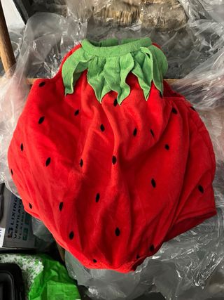 Vestitino Carnevale Bambino Fragola