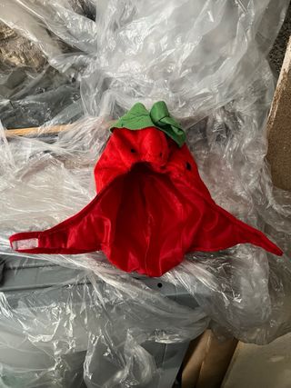 Vestitino Carnevale Bambino Fragola