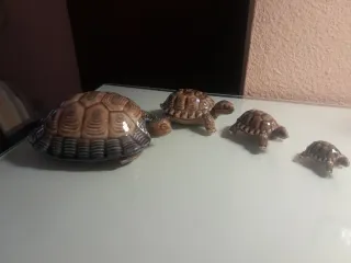 Conjunto 4 Tortugas Porcelana Inglesa