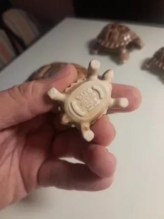 Conjunto 4 Tortugas Porcelana Inglesa