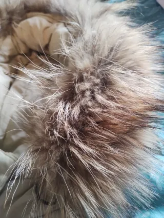 Piumino Woolrich Beige con Cappuccio