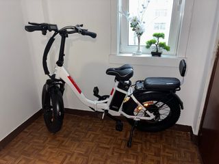 Bicicleta Eléctrica 750W 48V 13AH