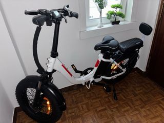 Bicicleta Eléctrica 750W 48V 13AH