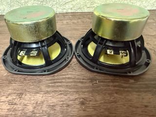 Coppia Altoparlanti Stereo B&W SN3CA