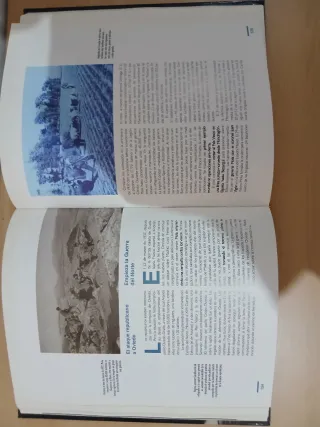 Libro antiguo guerra española