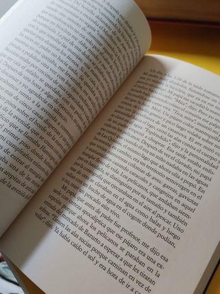 La personalidad de los pelícanos