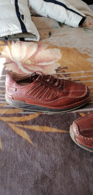 Zapatos Pikolinos Marrones