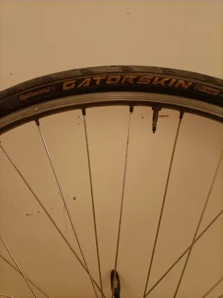 Rueda Delantera Mavic