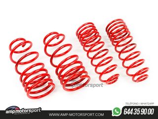 MUELLES DEPORTIVOS MTS TECHNIK MTSXBM064