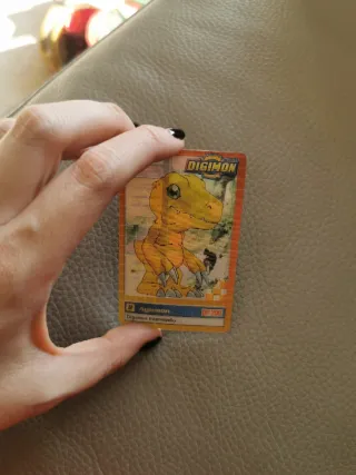 Carte Digimon #1 e #8