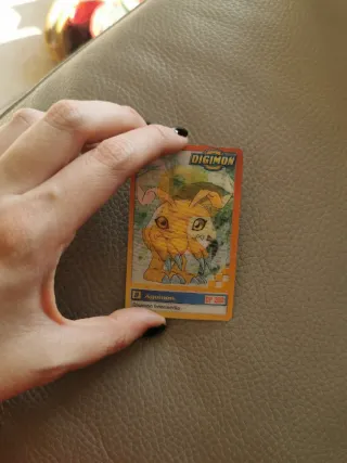 Carte Digimon #1 e #8