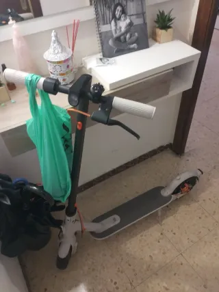 Patinete Eléctrico Xiaomi