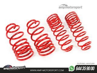 MUELLES DEPORTIVOS MTS TECHNIK MTSXOP153