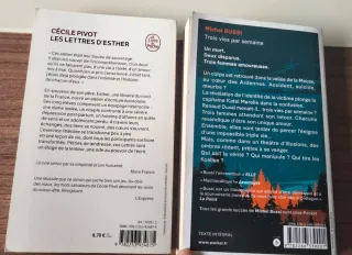 Lote de 2 novelas en francés