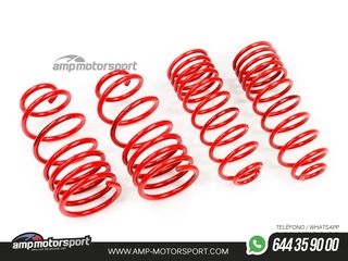 MUELLES DEPORTIVOS MTS TECHNIK MTSXBM024