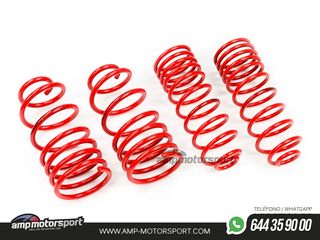 MUELLES DEPORTIVOS MTS TECHNIK MTSXPE123