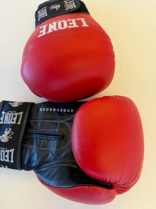 Guantes Boxeo Leone Rojos 16oz