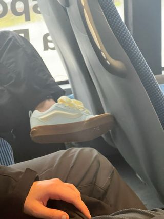 Zapatillas Vans Marrones y Blancas