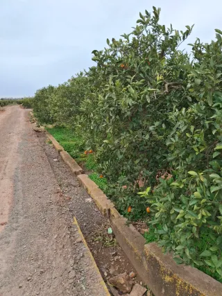 Terreno rústico en venta a 1km de rafelbuñol y de