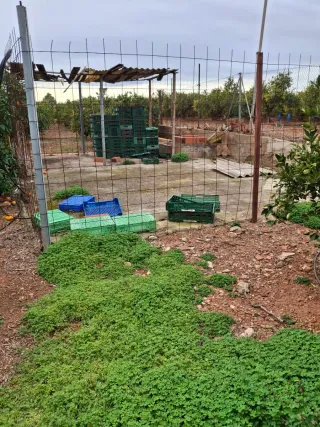 Terreno rústico en venta a 1km de rafelbuñol y de