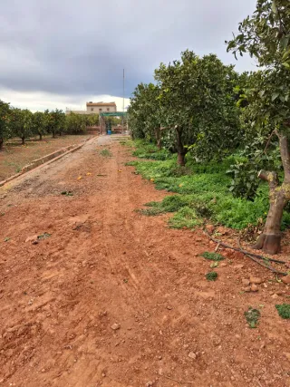 Terreno rústico en venta a 1km de rafelbuñol y de