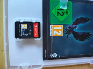 Hogwarts Legacy Nintendo Switch