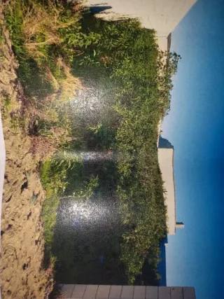 Parcela camino perrera