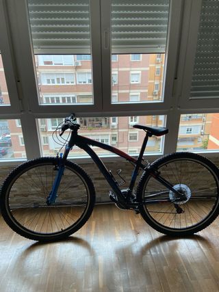 Bicicleta de montaña