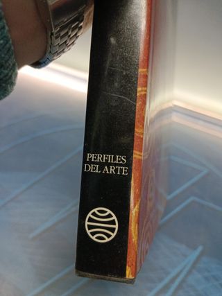 libro, KLIMT - Tomo Planeta 1991 - Colección Perfiles del Arte - Gustav Klimt