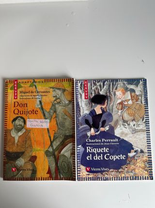 Lote 7 libros lectura (Vicens Vives).