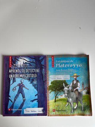 Lote 7 libros lectura (Vicens Vives).