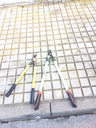 Lote 2 Tijeras Jardinería