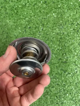 Termostato Mercedes Renault SsangYong