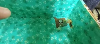 Baúl antiguo con caja de música