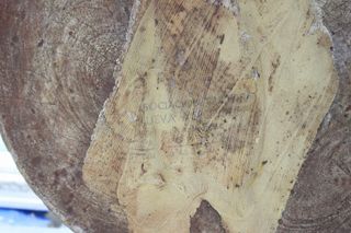 Reproducción disco de Chinkultic en cerámica.