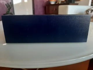 Custodia Penna Waterman Paris