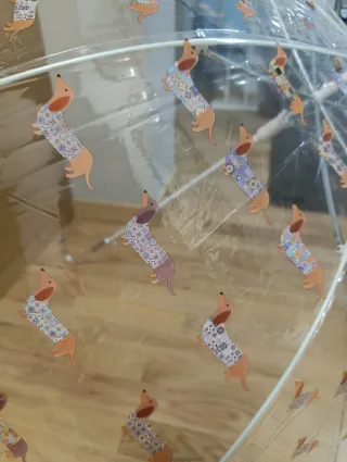 Paraguas transparente perros teckel