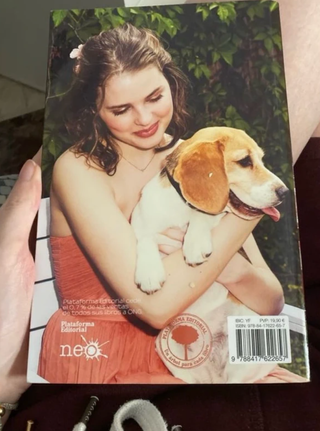 Salvar la boda (Spanish Edition)