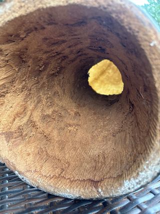 Djembé senegalés artesanal