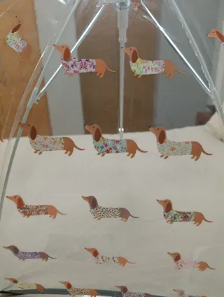 Paraguas transparente perros teckel.